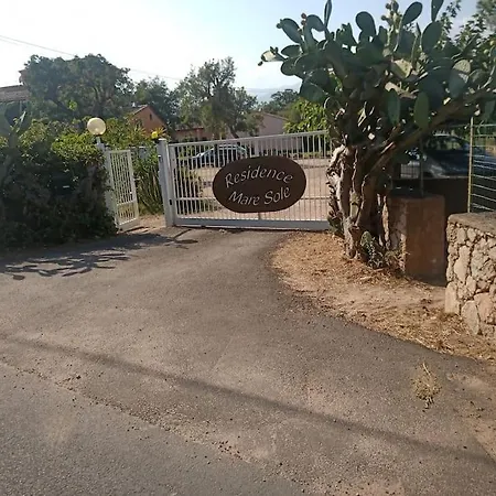 Duplex Jardin De Pinarello A Pied Пинареллу