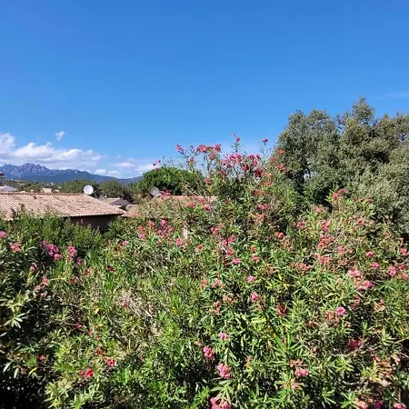 Holiday home Duplex Jardin De Pinarello A Pied Pinarellu (Corsica)