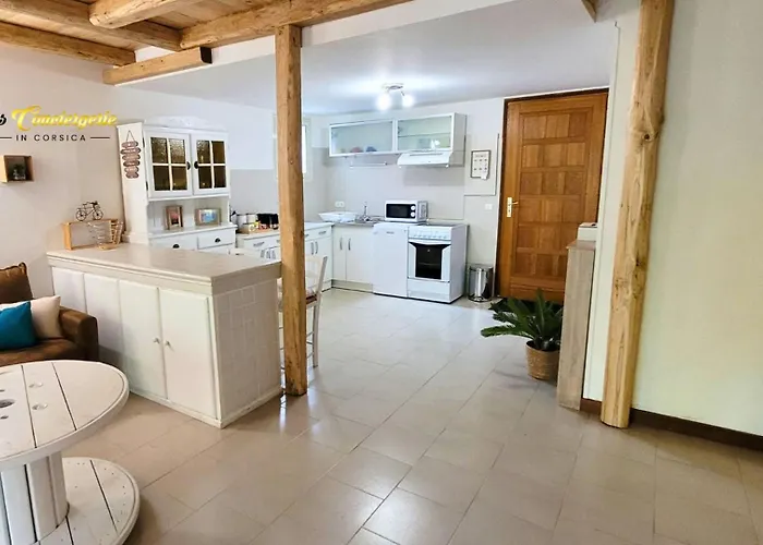 Tatil Evi Duplex Jardin De Pinarello A Pied *