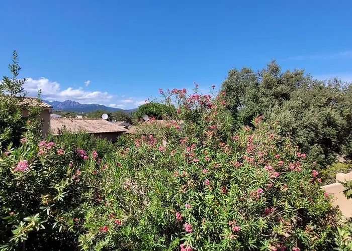 Holiday home Duplex Jardin De Pinarello A Pied Pinarellu (Corsica)